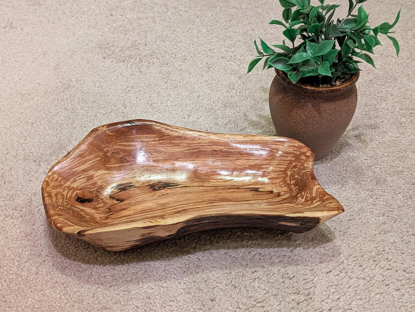 driftwood bowl, exotic, unique wood, bowl sculpture,  2.5" Tall x 11.5 x 7, Wabi Sabi, one-of-a-kind, asymmetric, rich color, figured, 641-C