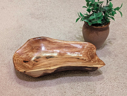 driftwood bowl, exotic, unique wood, bowl sculpture,  2.5" Tall x 11.5 x 7, Wabi Sabi, one-of-a-kind, asymmetric, rich color, figured, 641-C