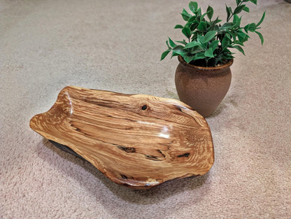 driftwood bowl, exotic, unique wood, bowl sculpture,  2.5" Tall x 11.5 x 7, Wabi Sabi, one-of-a-kind, asymmetric, rich color, figured, 641-C