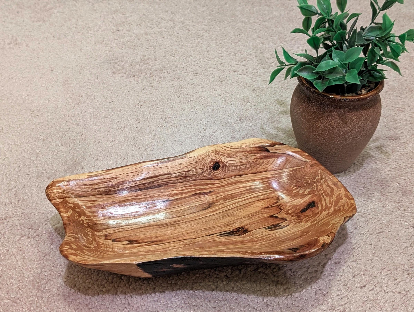 driftwood bowl, exotic, unique wood, bowl sculpture,  2.5" Tall x 11.5 x 7, Wabi Sabi, one-of-a-kind, asymmetric, rich color, figured, 641-C
