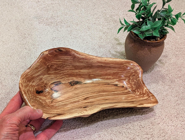 driftwood bowl, exotic, unique wood, bowl sculpture,  2.5" Tall x 11.5 x 7, Wabi Sabi, one-of-a-kind, asymmetric, rich color, figured, 641-C