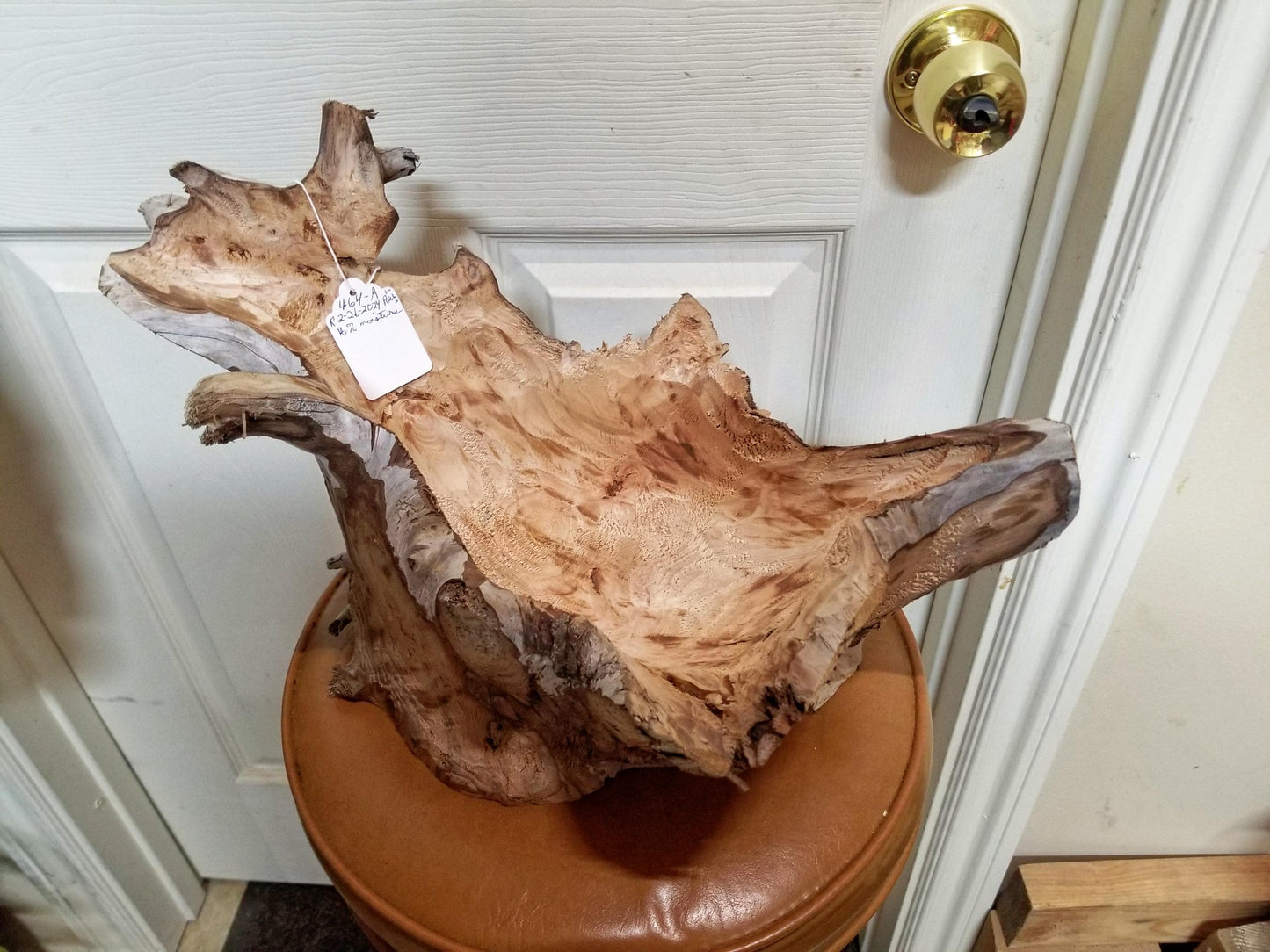 twisted branched wood bowl, elaborate, 9 tall x 16.5 x 9'', 2.6 lbs, Wabi Sabi Wasabi wabi-sabi one-of-a-kind, asymmetric, upcycled, 464-A