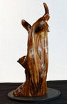.. wood root sculpture, desktop tabletop, 20.3” tall, golden brown, Ponderosa pine tree roots, Wabi Sabi, Exotic one-of-a-kind, 342-C