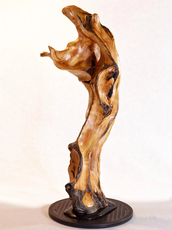 wood sculpture 29 inch tall, one-of-a-kind, freeform, tabletop floor sculpture, Aspen, beautiful grain, satin finish, yellow brown, 621-A