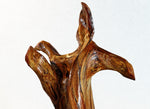 .. wood root sculpture, desktop tabletop, 20.3” tall, golden brown, Ponderosa pine tree roots, Wabi Sabi, Exotic one-of-a-kind, 342-C