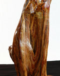 .. wood root sculpture, desktop tabletop, 20.3” tall, golden brown, Ponderosa pine tree roots, Wabi Sabi, Exotic one-of-a-kind, 342-C