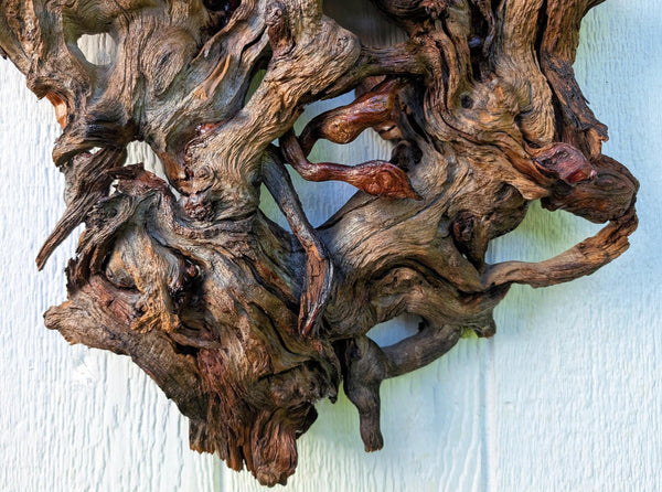 conjoined tree roots wall hanging sculpture, Ponderosa pine, wood, rustic, 19" x 16, Wabi Sabi, one-of-a-kind, asymmetric, ornate, 661-B
