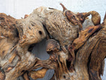 conjoined tree roots wall hanging sculpture, Ponderosa pine, wood, rustic, 19" x 16, Wabi Sabi, one-of-a-kind, asymmetric, ornate, 661-B