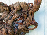 conjoined tree roots wall hanging sculpture, Ponderosa pine, wood, rustic, 19" x 16, Wabi Sabi, one-of-a-kind, asymmetric, ornate, 661-B