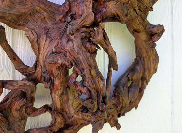 conjoined roots wall hanging, Ponderosa wood, rustic refined, matte, 19"x19x7, Wabi Sabi,  one-of-a-kind, asymmetric, indoor outdoor, 661-C