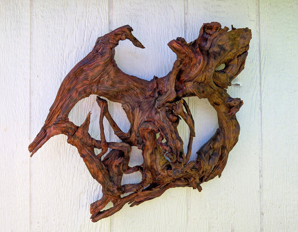 conjoined roots wall hanging, Ponderosa wood, rustic refined, matte, 19"x19x7, Wabi Sabi,  one-of-a-kind, asymmetric, indoor outdoor, 661-C