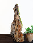 .. desktop wood sculpture, tabletop sculpture, rustic refined, matte, food safe, 19.5" tall x 8x4, Wabi Sabi, one-of-a-kind, asymmetric, 666-A