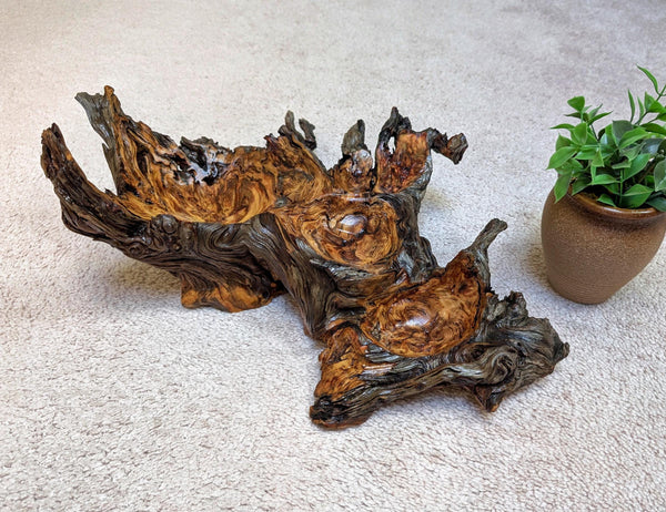 Ponderosa pine 4 compartments bowl, rustic yet refined, 6.63" tall x 17.25 x 15.75, food safe, Wabi Sabi, one-of-a-kind, asymmetric, 631-A