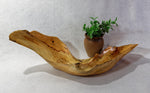 .. wooden platter, irregular, Ponderosa pine, rustic yet refined, dry food safe, 6.5" Tall x 23x9, Wabi Sabi, one-of-a-kind, asymmetric, 624-A