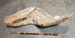 .. wooden platter, irregular, Ponderosa pine, rustic yet refined, dry food safe, 6.5" Tall x 23x9, Wabi Sabi, one-of-a-kind, asymmetric, 624-A