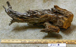 . 15 inch tall tabletop wood sculpture from a long time down-and-dead Ponderosa pine tree killed by lightening, 220-B