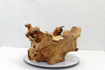 .. figured Siberian elm wood burl bowl, exotic irregular, one of a kind, golden blond & brown, live edge, 22 inch long by 18 by 11 tall, 312-i