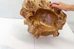 .. figured Siberian elm wood burl bowl, exotic irregular, one of a kind, golden blond & brown, live edge, 22 inch long by 18 by 11 tall, 312-i