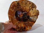 .. Madrone root wood bowl, wood, rustic yet refined, 4.5" Tall x 10.5 x 10.5, Wabi Sabi, one-of-a-kind, asymmetric, upcycled, food safe, 470-A