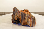 .. freeform Ponderosa pine wood bowl, colorful grain, exotic graceful lines, Wabi Sabi, 12" long x 7x5.75'' tall, dead old growth tree, 499-A1