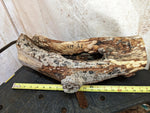 .. free flowing Port Orford Cedar wood bowl, rustic yet refined, matt5.75 T x 17.5 x 9.25’’, Wabi Sabi, one-of-a-kind, asymmetric, 427-A1
