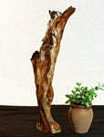 Wood, driftwood tabletop sculpture, desktop, matte finish, 19.5 tall x 6.5 x 5'', Sitka spruce, Wabi Sabi, one-of-a-kind, asymmetric, 637-A