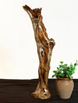 Wood, driftwood tabletop sculpture, desktop, matte finish, 19.5 tall x 6.5 x 5'', Sitka spruce, Wabi Sabi, one-of-a-kind, asymmetric, 637-A