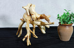 tabletop sculpture, lodgepole pine, witches broom, wood, rustic yet refined, 9.25 tall x12x10.5'', one-of-a-kind, asymmetric,616-A
