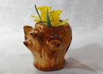 figured and branched wood planter, vase, rustic, Wabi Sabi, Wabisabi, wabi-sabi, one-of-a-kind, asymmetric, upcycled, 554-A