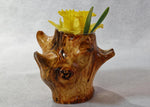figured and branched wood planter, vase, rustic, Wabi Sabi, Wabisabi, wabi-sabi, one-of-a-kind, asymmetric, upcycled, 554-A