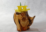 figured and branched wood planter, vase, rustic, Wabi Sabi, Wabisabi, wabi-sabi, one-of-a-kind, asymmetric, upcycled, 554-A
