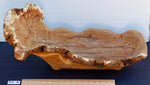 large oblong bowl, golden brown, burl bowl, mottled colors, live edge, Siberian black elm wood, irregular, asymmetric, 312-Q