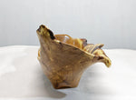 large oblong bowl, golden brown, burl bowl, mottled colors, live edge, Siberian black elm wood, irregular, asymmetric, 312-Q