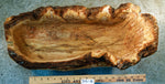 large oblong bowl, golden brown, burl bowl, mottled colors, live edge, Siberian black elm wood, irregular, asymmetric, 312-Q