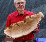 large oblong bowl, golden brown, burl bowl, mottled colors, live edge, Siberian black elm wood, irregular, asymmetric, 312-Q