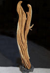 .. freeform wood sculpture, sagebrush, rustic refined, matte finish, 32.5'' Tall x 14" x 6", Wabi Sabi, one of a kind, asymmetric, 657-A