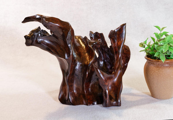 Wood desktop root sculpture, dark Pacific Ocean driftwood, one-of-a-kind, matte finish, 9.75" tall x 11.5 x 8, Wabi Sabi, asymmetric, 644-A