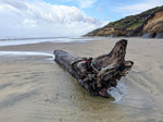 .. Wood desktop root sculpture, dark Pacific Ocean driftwood, one-of-a-kind, matte finish, 9.75" tall x 11.5 x 8, Wabi Sabi, asymmetric, 644-A