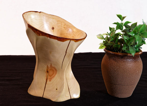 Western juniper bowl, goblet, wood, rich golden tan, matte finish, 8" tall x 6", Wabi Sabi, one-of-a-kind, asymmetric, upcycled, 652-A2