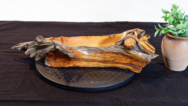 Driftwood bowl and catchall on a dark surface with a plant in the background