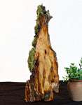 .. desktop wood sculpture, tabletop sculpture, rustic refined, matte, food safe, 19.5" tall x 8x4, Wabi Sabi, one-of-a-kind, asymmetric, 666-A