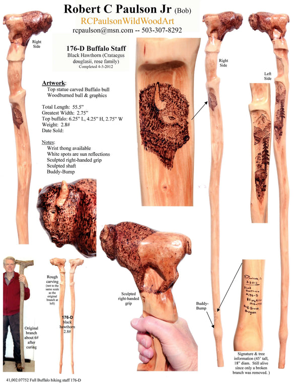 Buffalo walking hiking stick staff, 60" tall, carved animal sculpture, one-of-a-kind, upcycled, 176-D