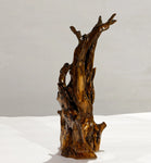 . 15 inch tall tabletop wood sculpture from a long time down-and-dead Ponderosa pine tree killed by lightening, 220-B