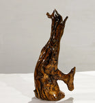 . 15 inch tall tabletop wood sculpture from a long time down-and-dead Ponderosa pine tree killed by lightening, 220-B