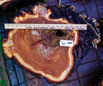 .. figured Siberian elm wood burl bowl, exotic irregular, one of a kind, golden blond & brown, live edge, 22 inch long by 18 by 11 tall, 312-i