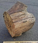 .. Madrone root wood bowl, wood, rustic yet refined, 4.5" Tall x 10.5 x 10.5, Wabi Sabi, one-of-a-kind, asymmetric, upcycled, food safe, 470-A