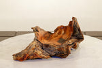 .. freeform Ponderosa pine wood bowl, colorful grain, exotic graceful lines, Wabi Sabi, 12" long x 7x5.75'' tall, dead old growth tree, 499-A1