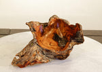 .. freeform Ponderosa pine wood bowl, colorful grain, exotic graceful lines, Wabi Sabi, 12" long x 7x5.75'' tall, dead old growth tree, 499-A1