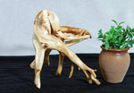 tabletop sculpture, lodgepole pine, witches broom, wood, rustic yet refined, 9.25 tall x12x10.5'', one-of-a-kind, asymmetric,616-A
