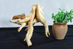 tabletop sculpture, lodgepole pine, witches broom, wood, rustic yet refined, 9.25 tall x12x10.5'', one-of-a-kind, asymmetric,616-A